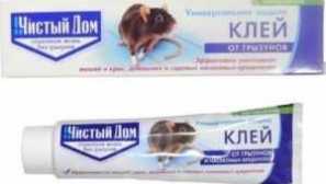 Jak se zbavit myší v soukromém domě, v oblasti země a v bytě přehled efektivních fondů